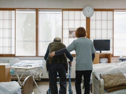 花見の様子